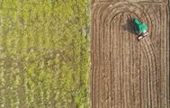 Agricultural Bank of China ups support for spring farming