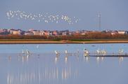 China's largest freshwater lake sees increasing water level