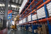 China's logistics sector posts stable growth in 2022
