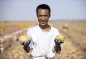 NW China's "potato land" embraces new technology
