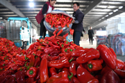 China's weekly farm produce wholesale prices down