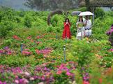 Revenues in China's cultural industry up in 2022