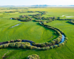 China sees improved ecological vegetation quality in 2022 