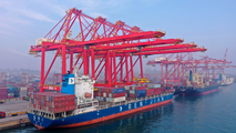 China's coastal bulk freight index down in June