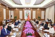 Chinese FM holds talks with Irish FM 