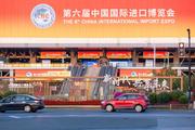 (CIIE) Interview: Nepali exhibitor expects good deals for high-quality exhibits at CIIE