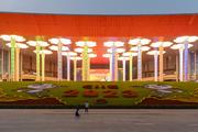 (CIIE) Roundup: China's import expo a catalyst for global enterprise growth, cooperation