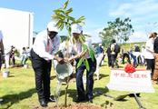 Roundup: China, Africa see bright prospect for comprehensive agricultural cooperation