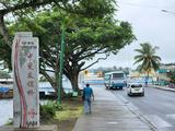 China willing to further deepen relations with Pacific island countries: ambassador 