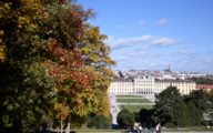 China-proposed Global Development Initiative under spotlight at seminar in Vienna