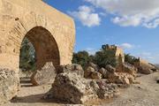 Chinese-Tunisian civilizations exchange conference opens in Tunis 