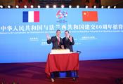 China, France should make further contributions to world peace, development: FM