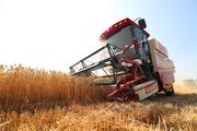 China harvests 149 mln tonnes of summer grain in 2025 despite adverse weather