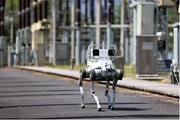 State Grid in E China's Zhejiang establishes smart inspection system to enhance grid safety