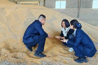 亳州药都农商银行：多维发力金融助农守护“粮袋子”    赋能乡村全面振兴
