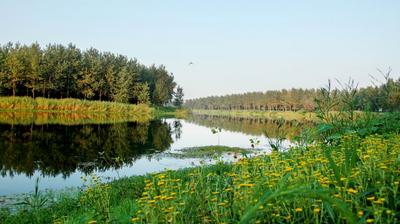 安徽利辛：描绘人与自然和谐共生的“幸福画卷”