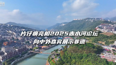 片仔癀亮相2025赤水河论坛向中外嘉宾展示非遗