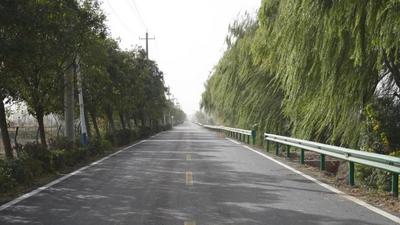 安徽怀远：“四好农村路”铺就致富民生双通途