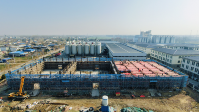 安徽宿州埇桥区：种业小镇为乡村振兴、农民致富插上腾飞翅膀