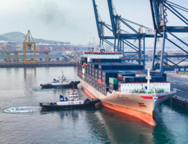 China a key engine of global trade growth: UN trade official