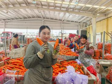 安徽萧县：绘就“七彩农业”新画卷