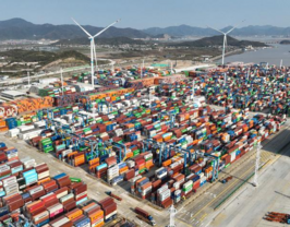Major east China port handles 1.4 bln tonnes of cargo in 2025