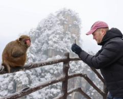 China Focus: Richer, deeper, heartier -- behind China's New Year inbound traveler influx