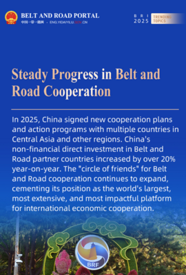 Yearender | 2025 trending topics on BRI