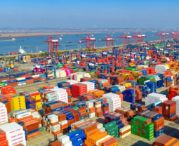 How China's robust foreign trade propels global prosperity?