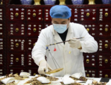 How traditional Chinese medicine is winning global hearts