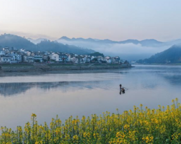 Interview: China's landmark legislation reflects innovative approaches to green governance, says Uzbek expert