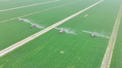 安徽怀远：智慧田管提效能  科技助农促丰收