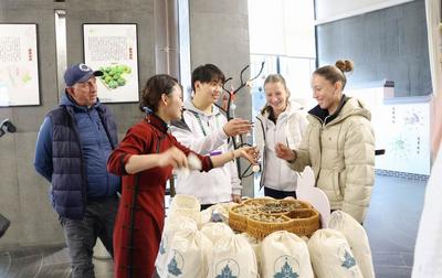 六安市金安区：艾香润心  中外网球健儿解锁艾草非遗