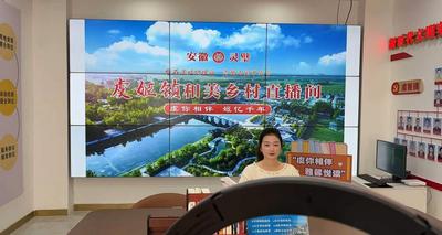 安徽灵璧：以阅读为媒  绘就和美乡村书香新画卷