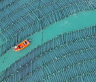 China's marine economy index rises 2.2 percent in 2025