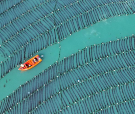 China's marine economy index rises 2.2 percent in 2025><span class=