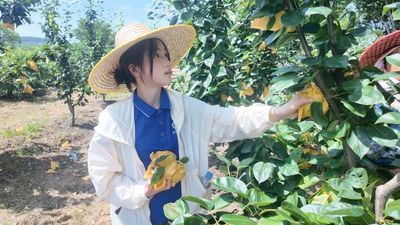 合肥庐江县冶父山镇：校地合作直播助农  明圣黄桃线上飘香
