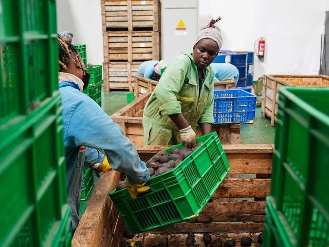 African exporters reap early benefits of China's zero-tariff treatment