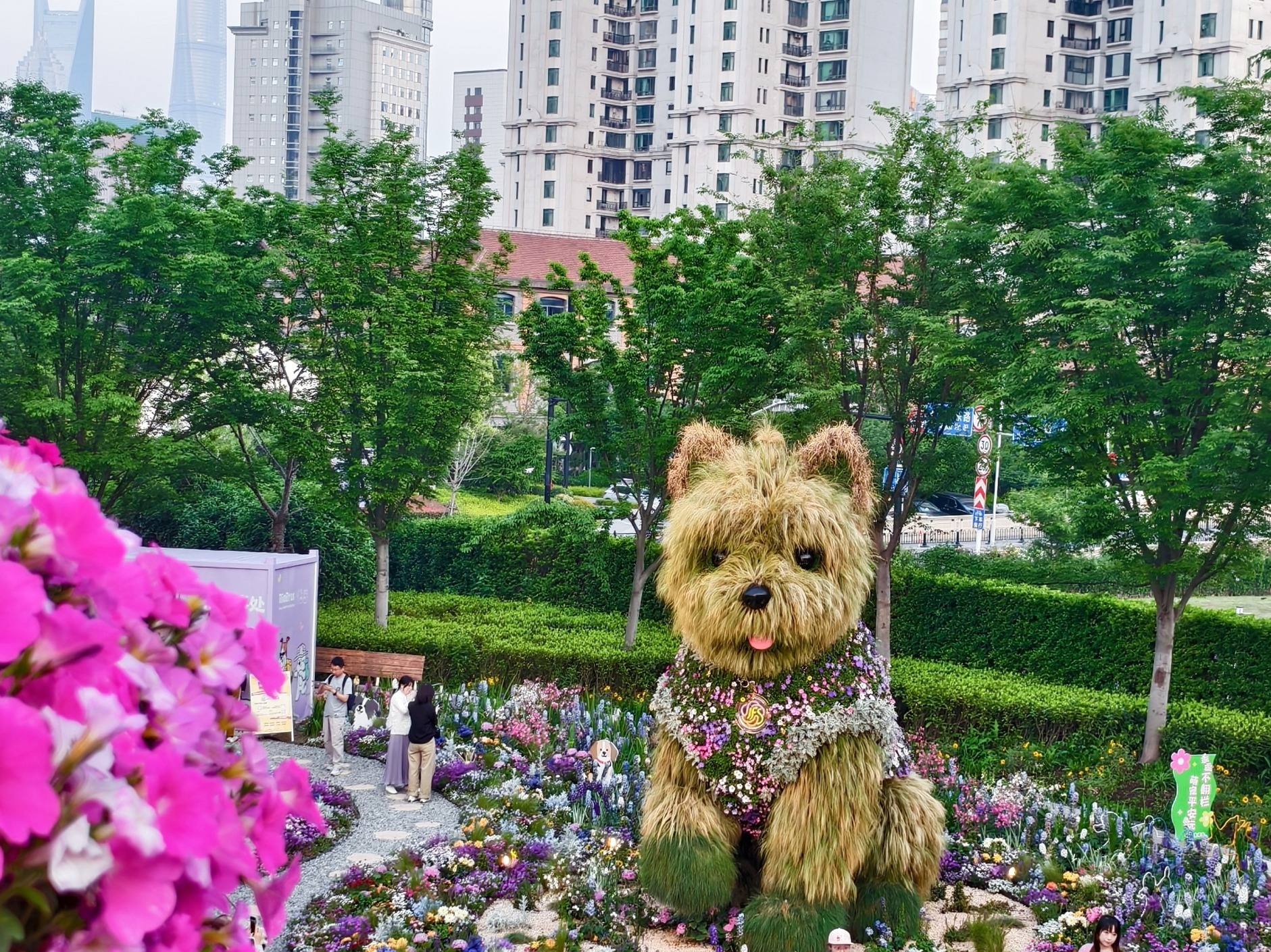 Shanghai's much-loved "Scruffy Dog" stays on